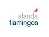 more info about Alanda Flamingos